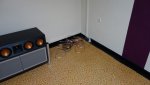 dsc00250xxsrs.jpg