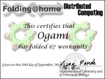 cert.Ogami.67.jpg