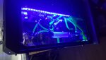20170204_155710.jpg