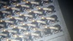 20170208_075722.jpg