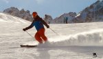 IMG_0713.jpg