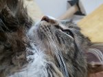 20170220_000001.jpg