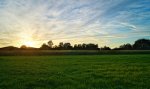 DSC04465.jpg