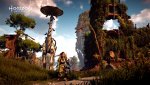 Horizon Zero Dawn™_20170305113927.jpg