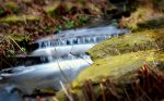 DSC06661-1.jpg