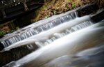 DSC06668-1-1.jpg