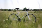 IMG_9265klein.jpg