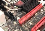 Molex.JPG