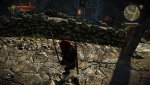 witcher2 2011-05-27 15-00-03-46.jpg