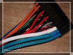 IMG_3462.jpg