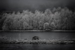 IMG-20170308-WA0002.jpg