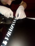 IMG_20170311_175726.jpg