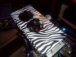 IMG_20170311_185932.jpg