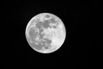 IMGP8803_DxO.jpg