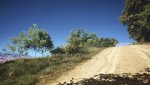 Tom Clancy's Ghost Recon  Wildlands Screenshot 2017.03.15 - 02.54.24.85.jpg