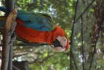DSC_1071.jpg