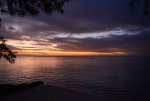 DSC_1170.jpg