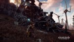 Horizon Zero Dawn™_20170314195232.jpg