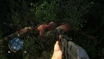 Far Cry® 32016-5-30-19-44-43.jpg