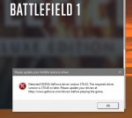 BF1.JPG
