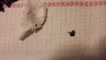 20170320_212237.jpg
