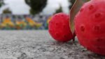 IMG_20160930_174426.jpg