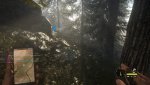 theHunterCotW_F_2017_03_05_19_47_42_048.jpg