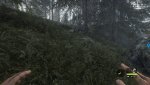 theHunterCotW_F_2017_03_05_19_47_01_190.jpg
