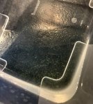 20170401_153317143_iOS.jpg