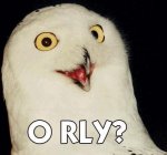 o rly.jpg