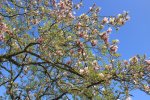 IMG_2044.JPG