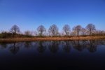 IMG_1920.jpg