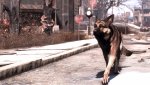 Fallout_4_ENB+Reshade_008.jpg