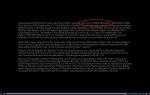 AMD_0917_b.jpg