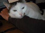DSCF0046.jpg
