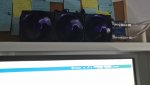 IMG_20170421_071039.jpg