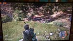 WP_20170426_20_12_02_Pro.jpg
