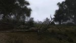 XR_3DA_2017_04_27_13_31_02_095.jpg