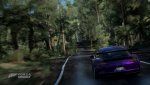 Forza1.jpg
