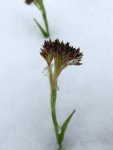 PD_16_File_014.JPG