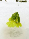 PD_16_File_015.JPG