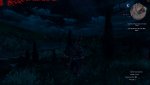 witcher3_2017_05_13_13_58_18_288.jpg