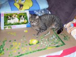 100_0634.JPG