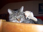 100_2691 - Kopie.JPG