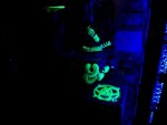 IMG_20170514_150529.jpg