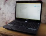acer1.jpg