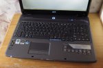 acer2.jpg