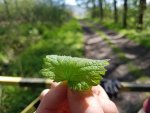 20170506_115802.jpg