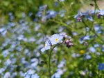20170520_122648.jpg