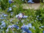 20170520_122654.jpg